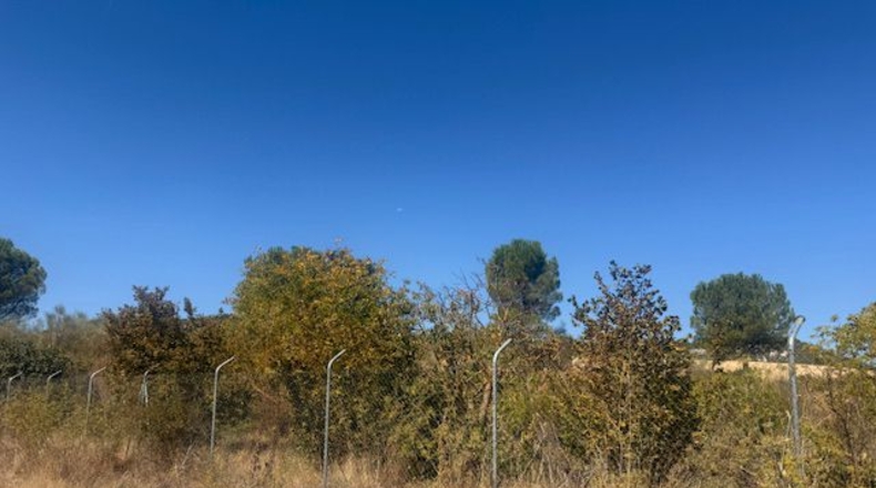 Palencia - Valle de Cerrato - 9540 m²