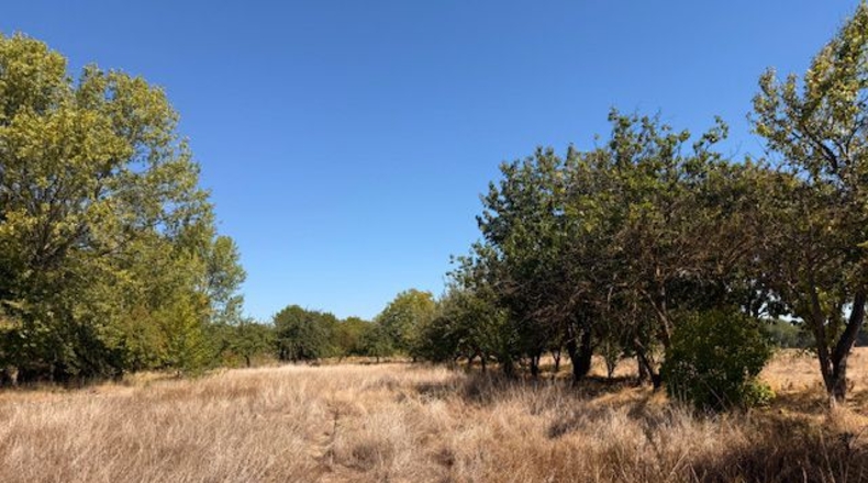 Palencia - Valle de Cerrato - 9540 m²