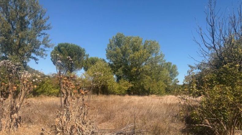 Palencia - Valle de Cerrato - 9540 m²
