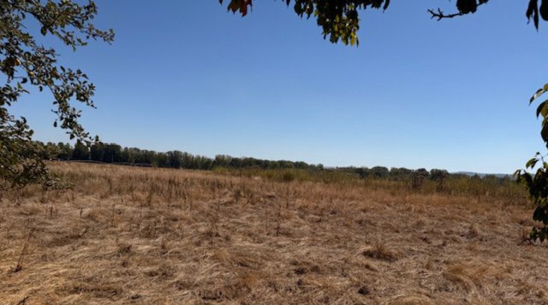 Palencia - Valle de Cerrato - 9540 m²
