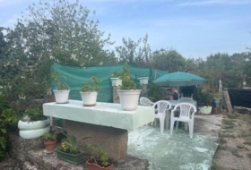 San Cibrao das Viñas 55&nbsp;m²