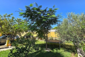 Chiclana de la Frontera 1150&nbsp;m²