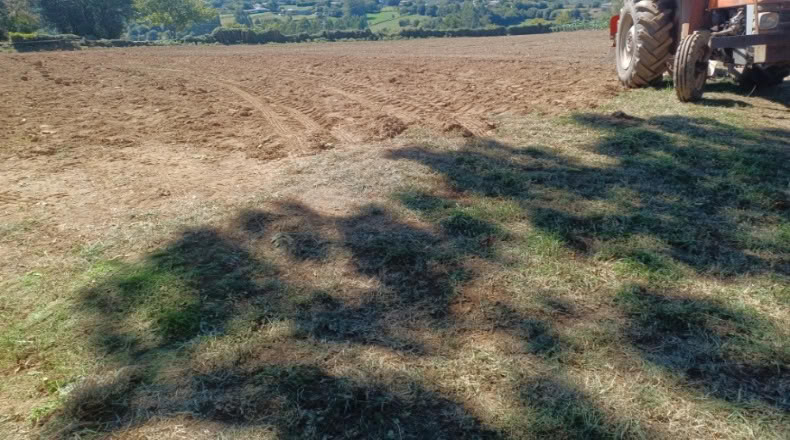 Lugo - A Fonsagrada - 3270 m²
