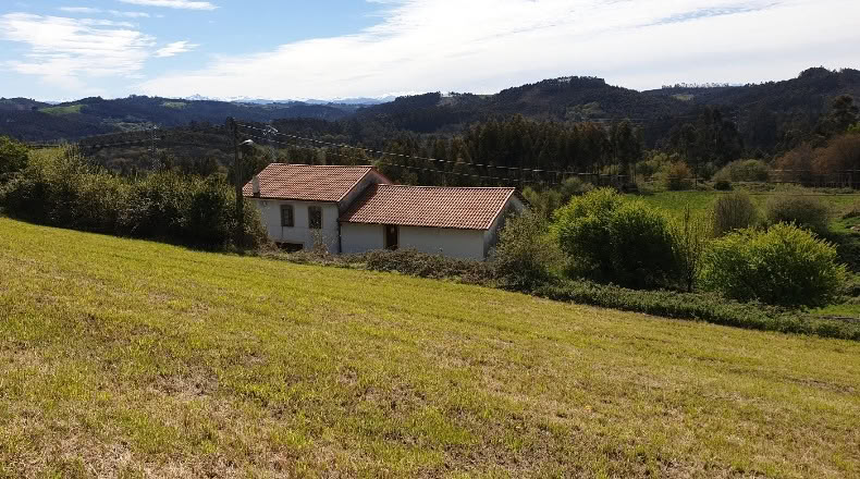 Asturias - Gijón - 11206 m²