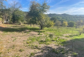 Maside 4800&nbsp;m²