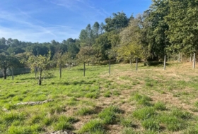 Maside 4800&nbsp;m²