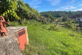 Maside 4800&nbsp;m²