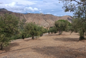 Almuñécar 10000&nbsp;m²