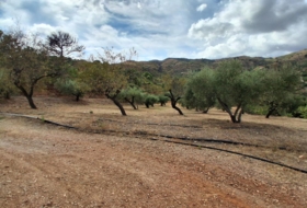Almuñécar 10000&nbsp;m²