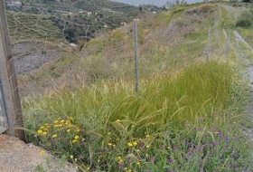 La Herradura 7300&nbsp;m²