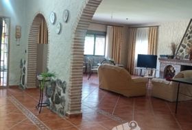 Foto 19