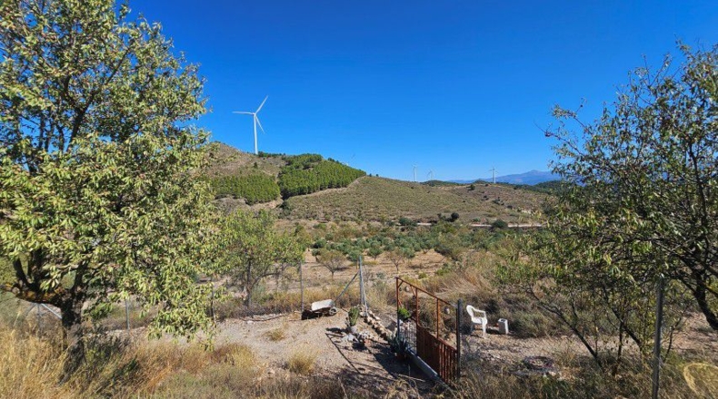 Almeria - Tíjola - 11447 m²