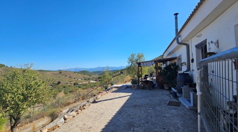Almeria - Tíjola - 11447 m²