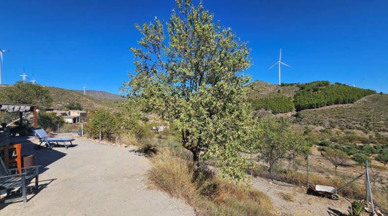 Almeria - Tíjola - 11447 m²