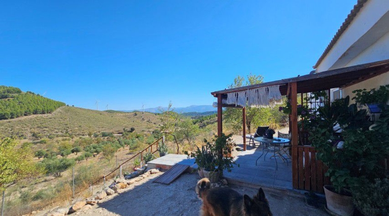 Almeria - Tíjola - 11447 m²