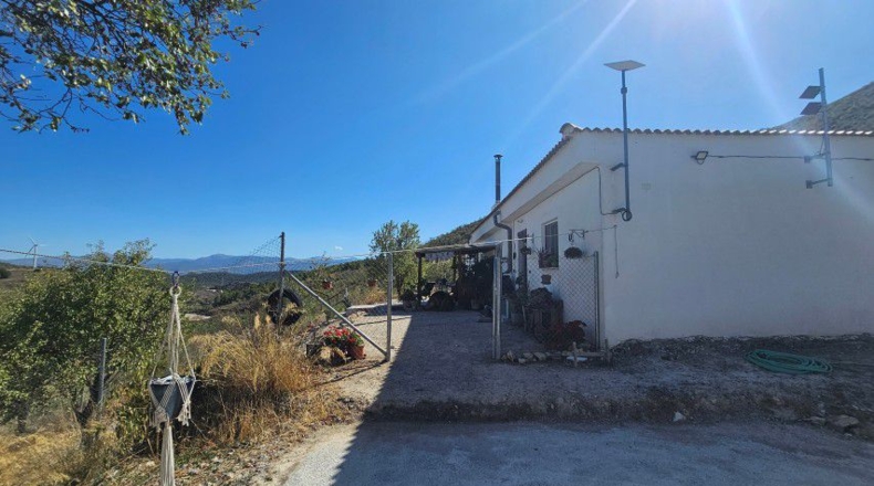 Almeria - Tíjola - 11447 m²