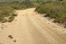 Foto 11