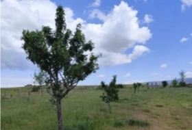 Torrecaballeros 1597&nbsp;m²