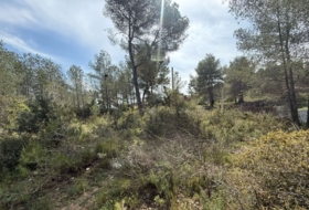 Olivella 666&nbsp;m²