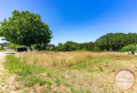 Carballo 1594&nbsp;m²