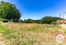 Carballo 1594&nbsp;m²