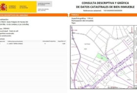 Carballo 1594&nbsp;m²