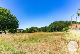 Carballo 1594&nbsp;m²