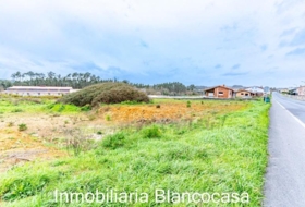 Carballo 1617&nbsp;m²