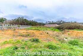 Carballo 1617&nbsp;m²
