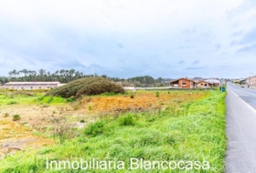 Carballo 1617&nbsp;m²