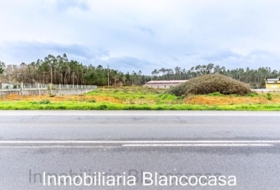 Carballo 1617&nbsp;m²