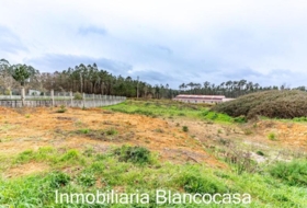 Carballo 1617&nbsp;m²