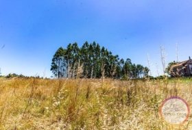 Carballo 1056&nbsp;m²