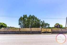 Carballo 1056&nbsp;m²