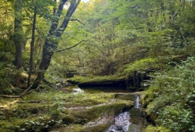 Foto 10