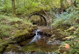 Foto 12