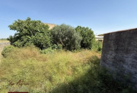 Badajoz 1000&nbsp;m²