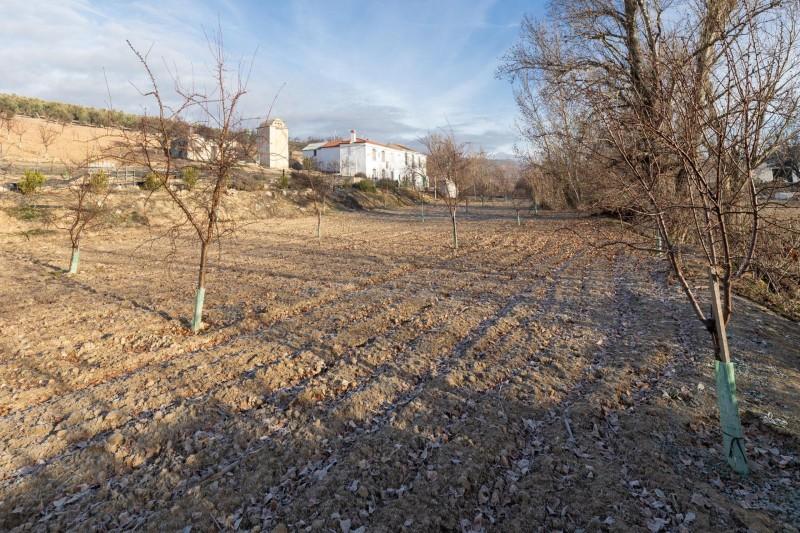 Country house with 4 rooms in Láchar