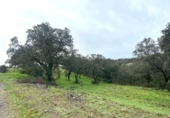 Non-developable land for sale on España, Guillena, ref: TR421119 photo