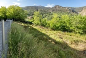 Foto 10