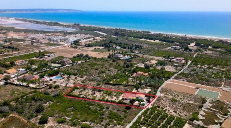 Alicante - Elche - 3086 m²