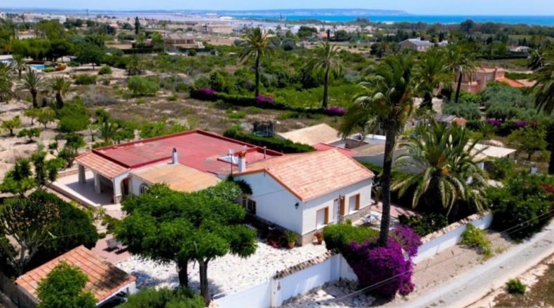 Alicante - Elche - 3086 m²