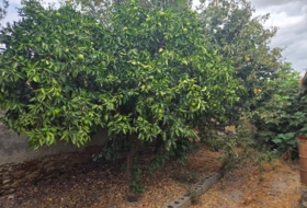 Torremayor 363&nbsp;m² 
