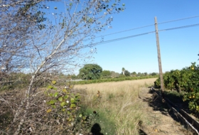 El Verger 5334&nbsp;m²
