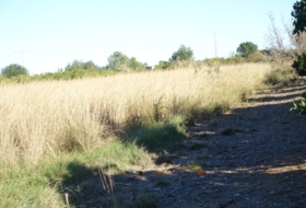 El Verger 5334&nbsp;m²