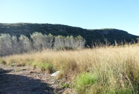 El Verger 5334&nbsp;m²