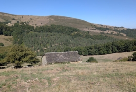 Foto 15