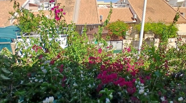 Murcia - San Pedro del Pinatar - 73 m²