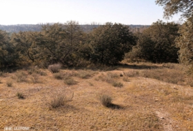 Номбела 5200&nbsp;м²