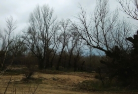 Номбела 5200&nbsp;м²